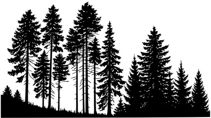 Vector Panorama High Silhouette Fir Trees Forest Illustration - White Background