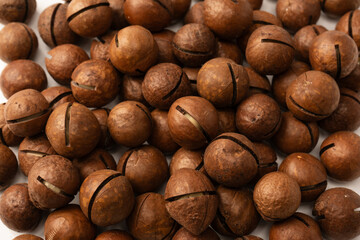 Macadamia nuts in a shell isolated on a white background.