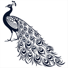 Obraz premium vector illustration of a peacock