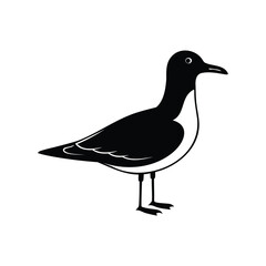 Simple black and white illustration of a Black Guillemot bird standing