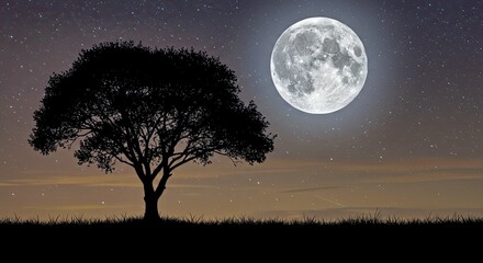 Majestic Tree Silhouette Against Full Moon Starry Sky Scene