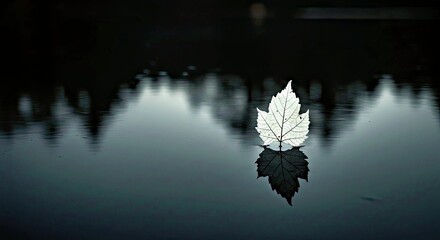 Pure White Leaf Standing on Calm Water Soft Light