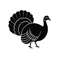 Stylized Black Silhouette of a Turkey with Plumed Tail on White Background