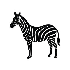 A striking black and white zebra silhouette, a beautiful animal illustration