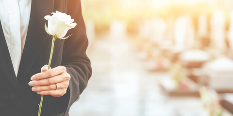 Holding a white rose during a memorial service in a cemetery with a blurred background