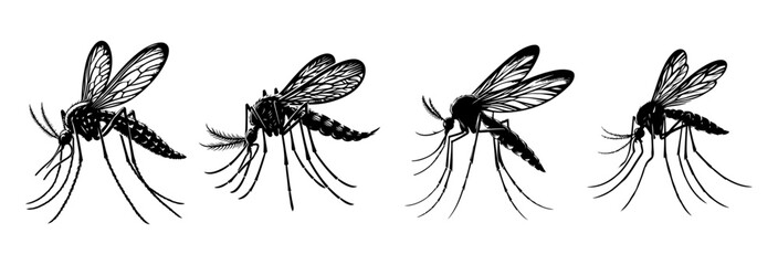mosquito, silhouette vector art.