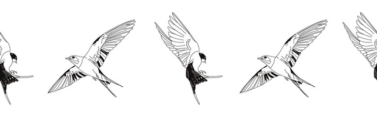 Border icon border. Bird feather silhouette symbol. Bird border isolated on white background