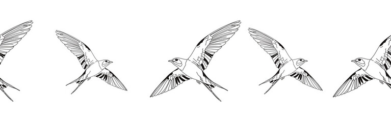 Border icon border. Bird feather silhouette symbol. Bird border isolated on white background