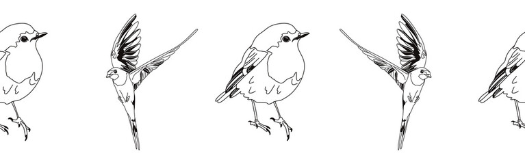 Border icon border. Bird feather silhouette symbol. Bird border isolated on white background