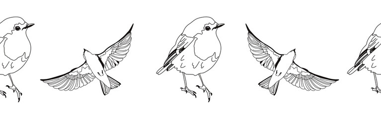 Border icon border. Bird feather silhouette symbol. Bird border isolated on white background