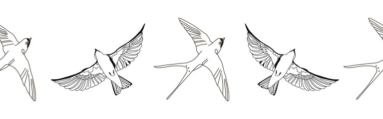 Border icon border. Bird feather silhouette symbol. Bird border isolated on white background