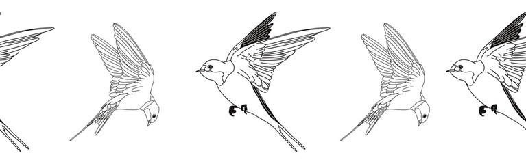 Border icon border. Bird feather silhouette symbol. Bird border isolated on white background