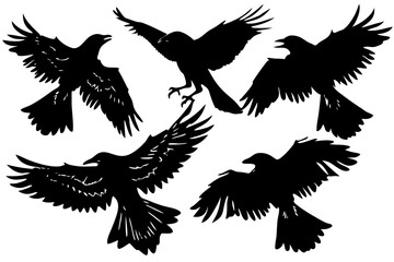 Obraz premium A collection of flying raven silhouettes. A graphic vector set of black crows in various poses, isolated on a white background.