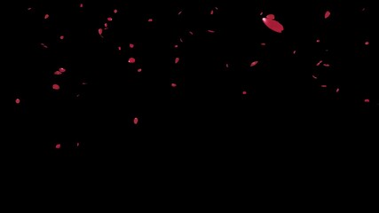 Romantic 3D red rose petals fall gently on a transparent background. This elegant alpha effect is perfect for adding a touch of love and beauty to any project.