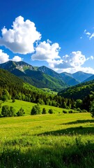 Fototapeta premium Lush green valley, mountains, blue sky