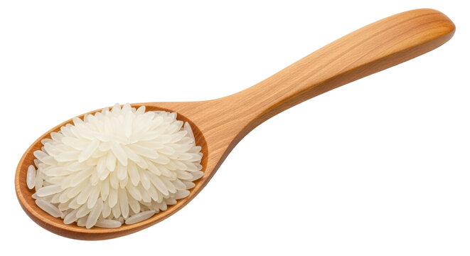 Isolated Spoon of Rice