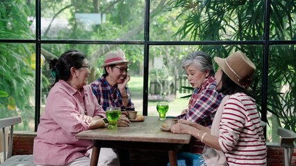 Asian senior female group drinking green beverage and talking joyfully while sitting in natural glasshouse cafe during daytime friendly gathering representing peaceful retirement life and connection