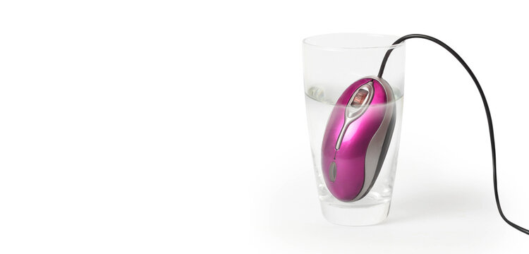 mouse in a glass