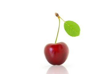 Sweet cherry
