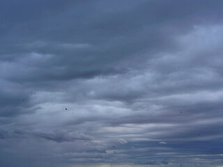 Thick cumulonimbus clouds over the Lleida plain and Common swifts, Apus apus, practising flight in adverse conditions
