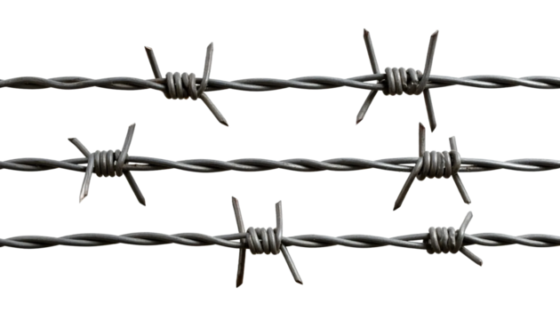 Barbed wire isolate on transparency background