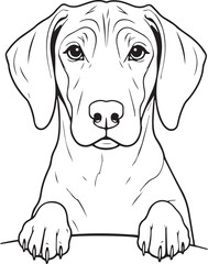 Fototapeta premium Coonhound Dog SVG EPS Line Art Peeking Dog Clipart, Vector Graphics, Sublimation, Digital Download Mug Printing Tshirts Design Mascot Tattoo Transparent Background