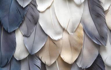 Obraz premium A close-up of a blue and white feather reveals the intricate texture, delicate pattern, and fine details of its textile-like structure, perfect for fashion or decoration
