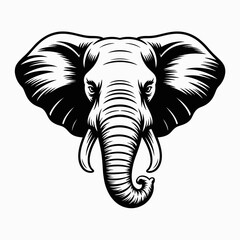 elephant head vector illustration on white background