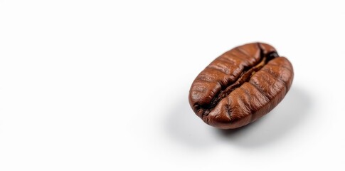 Single coffee bean, isolated on white background, agriculture, minimal, isolated