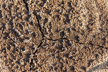 Scorched Earth in the Grasp of Climate-Induced Drought