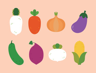 A set of vegetable illustrations including radishes, carrots, onions, eggplants, cucumbers, sweet potatoes, turnips, and corn. Ideal for healthy living, stores, market, cooking and shopping.