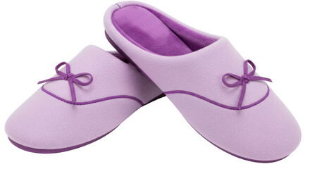 Isolated Pair of Slippers