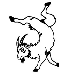 Playful mountain goat in a dynamic, jumping pose