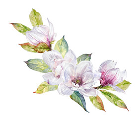 Watercolor spring bouquet with hand-painted elements of white and pink magnolia flowers and leaves on a transparent background. Wedding design elements.