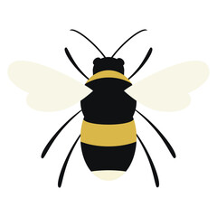 Bombo - insetto utile in agricoltura