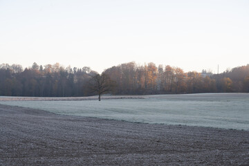 winter landscape in the morning