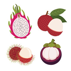 Exotic Tropical Fruits Collection