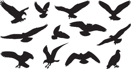 Vector art of collection of bird silhouettes in flight, isolated on transparent background