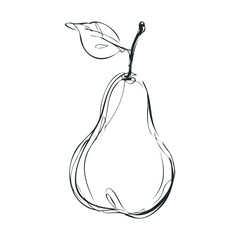 Elegant pear sketch design for culinary art and decor projects