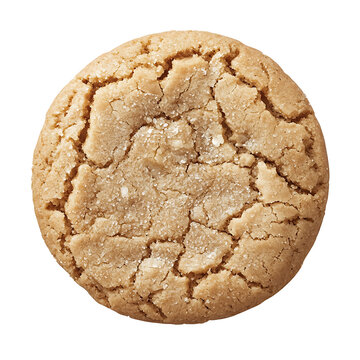 A single golden-brown crinkled cookie with a cracked surface texture