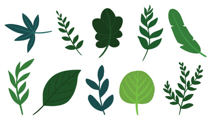 Set of different tropical and other green leaves. autumn leaves vector illustration, exotic tropical leaves on a white background. Jungle leaf and twigs wild plant collection for your design elements