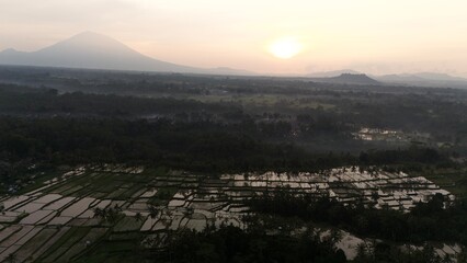 Mornings in Ubud, Bali