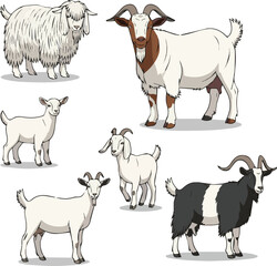 Isolated kinds of deferent goat vector art with white background.