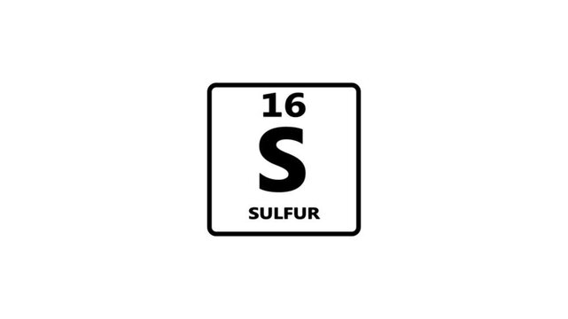 16 Number sulfur icon animation on white background 4k video.