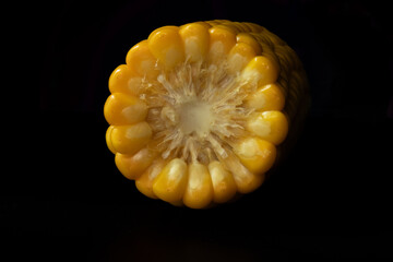Cross-section of a boiled sweet corn cob on a black background