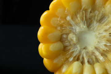 Macro close up of a boiled sweet corn cob slice showing juicy golden kernels