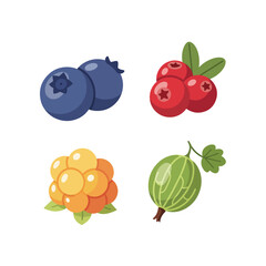 Assorted Berries and Gooseberry
