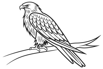 Obraz premium Kite Bird Perched Drawing Isolated on White