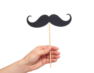 A hand holds a black mustache prop on a stick, often used for fun photo sessions or parties.