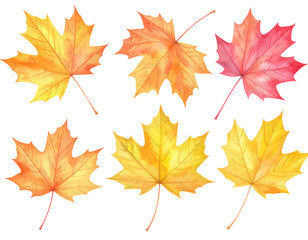 Fototapeta premium A collection of vibrant, autumn-colored maple leaves featuring shades of yellow, orange, and red, showcasing intricate details and textures.